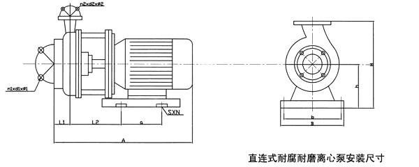 FSB硝酸泵的安装